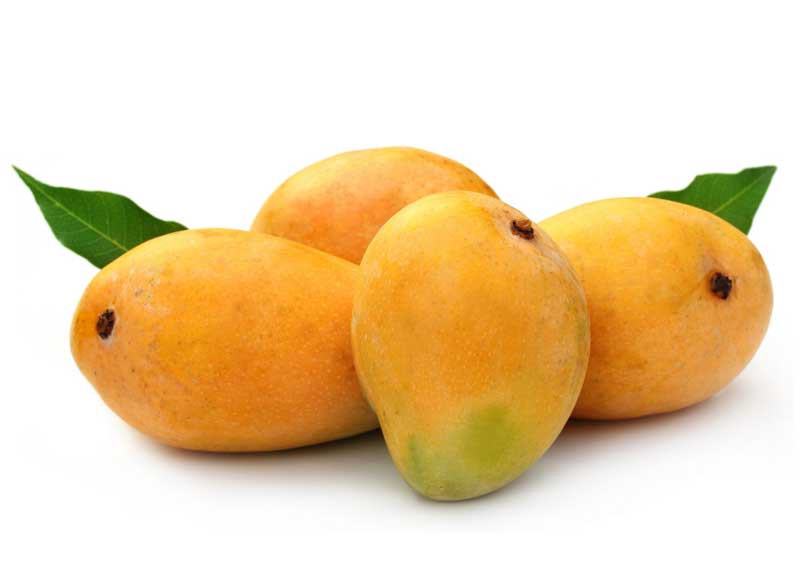 Banganapalli-Mango