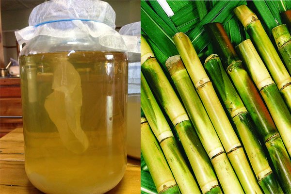 sugarcane-vinegar